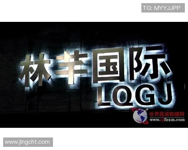 杭州排球队的转型之路：从传统强队到现代化竞技新标杆的探索与实践